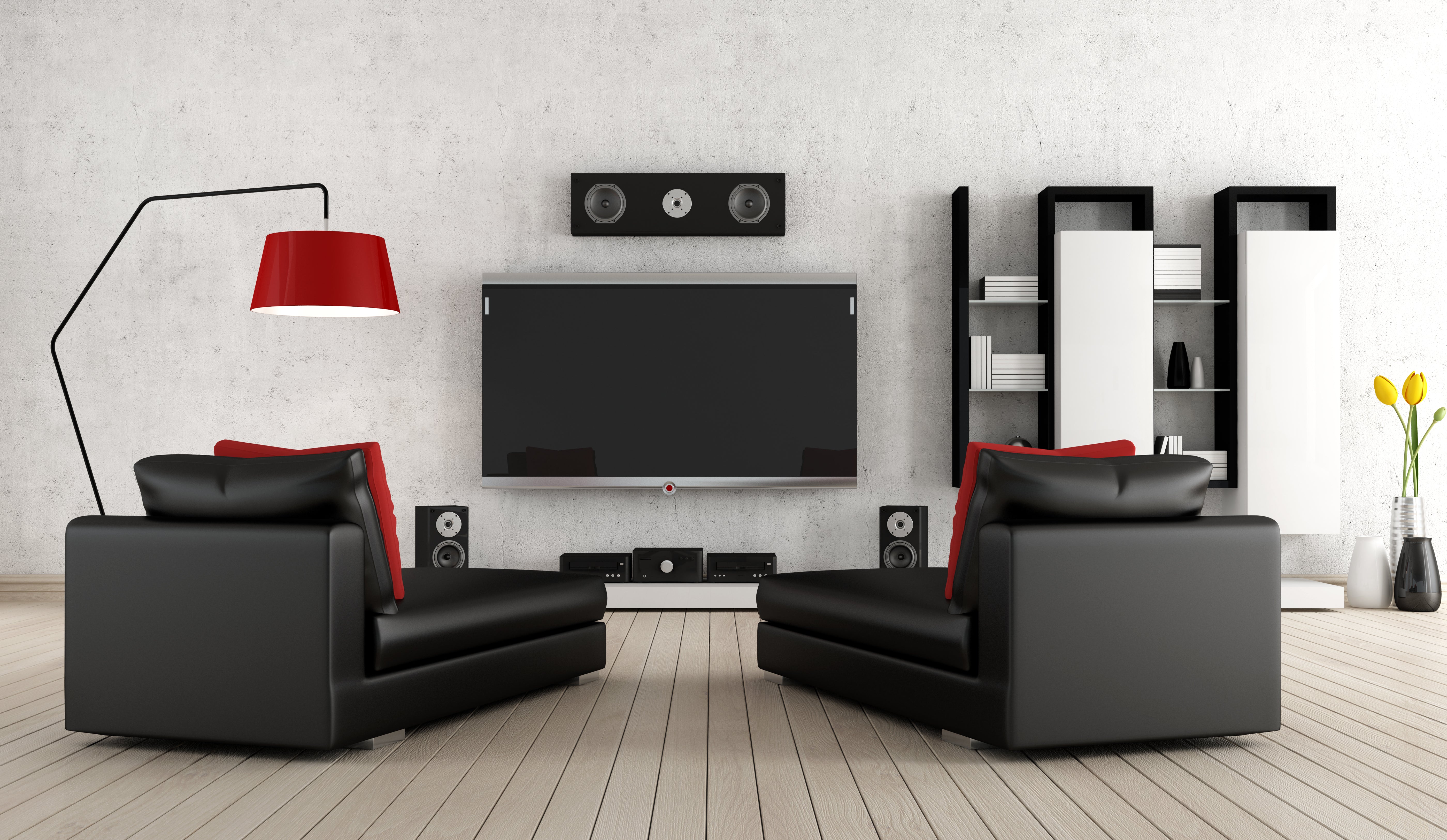 entertainment setup
