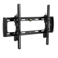 WM260 Outdoor Weatherproof Tilt TV Mount for 40