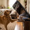 TV Tip-Over Accidents: Why They Happen and How to Prevent Them